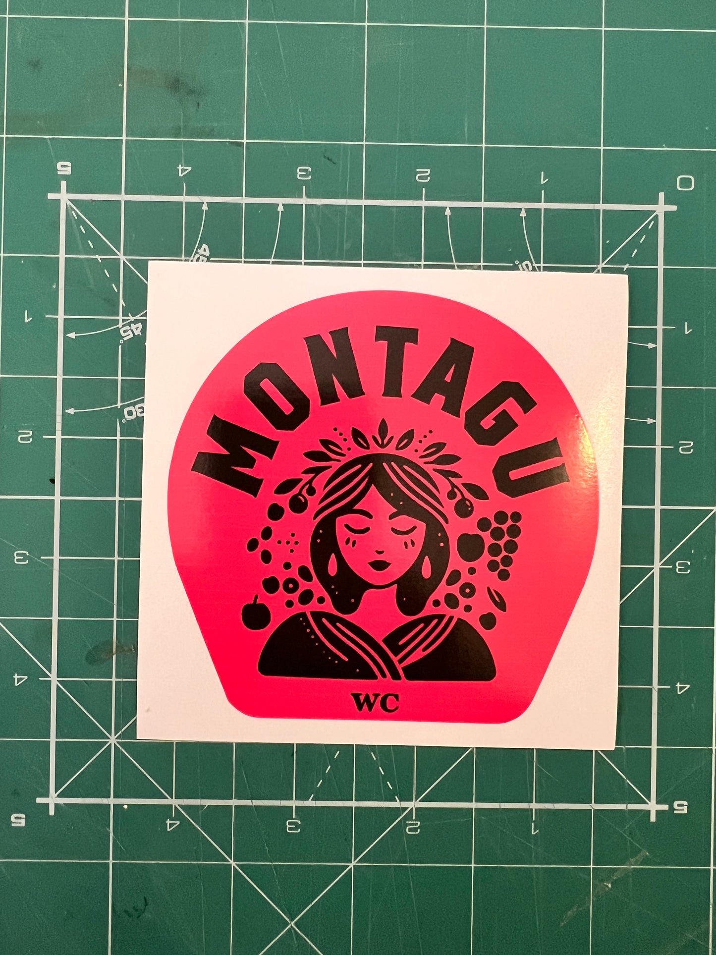 Single design Sticker packs (10 unit / pack)