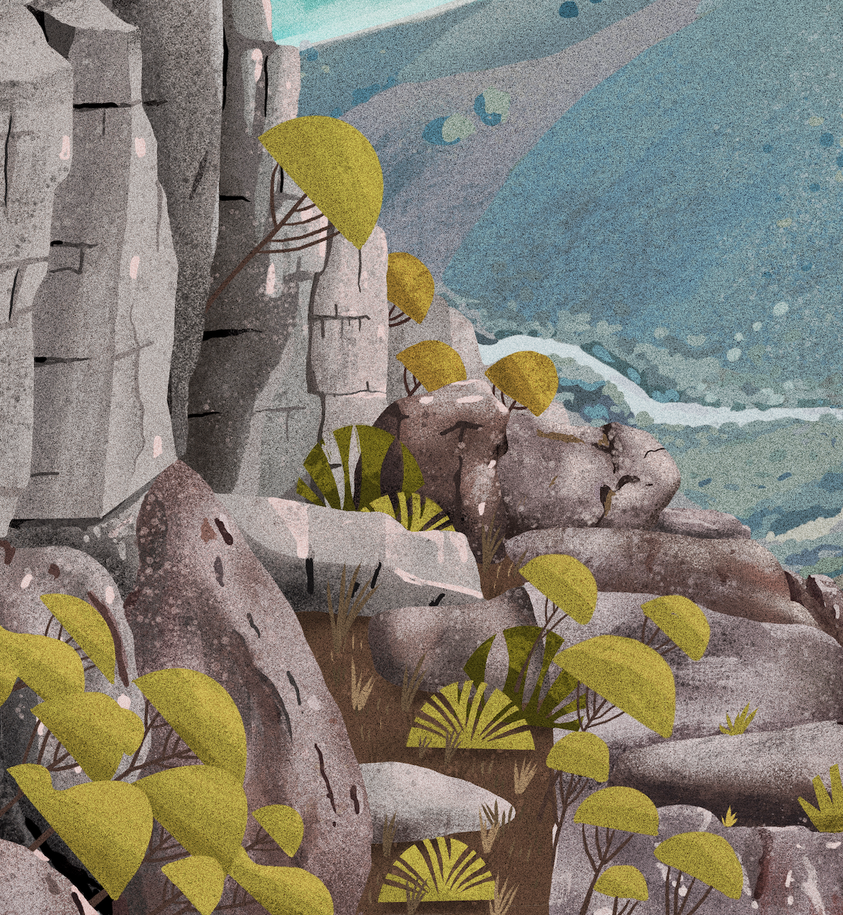 Table Mountain National Park