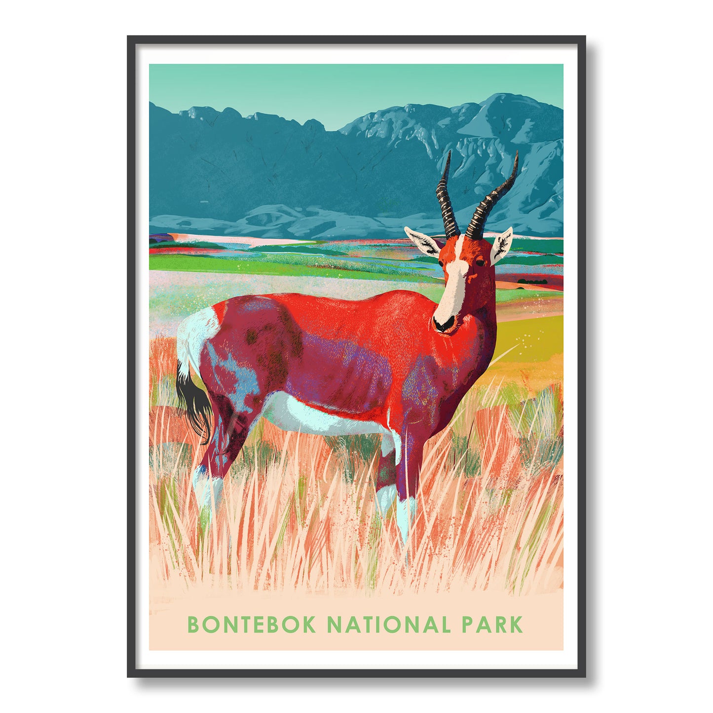 Bontebok National Park
