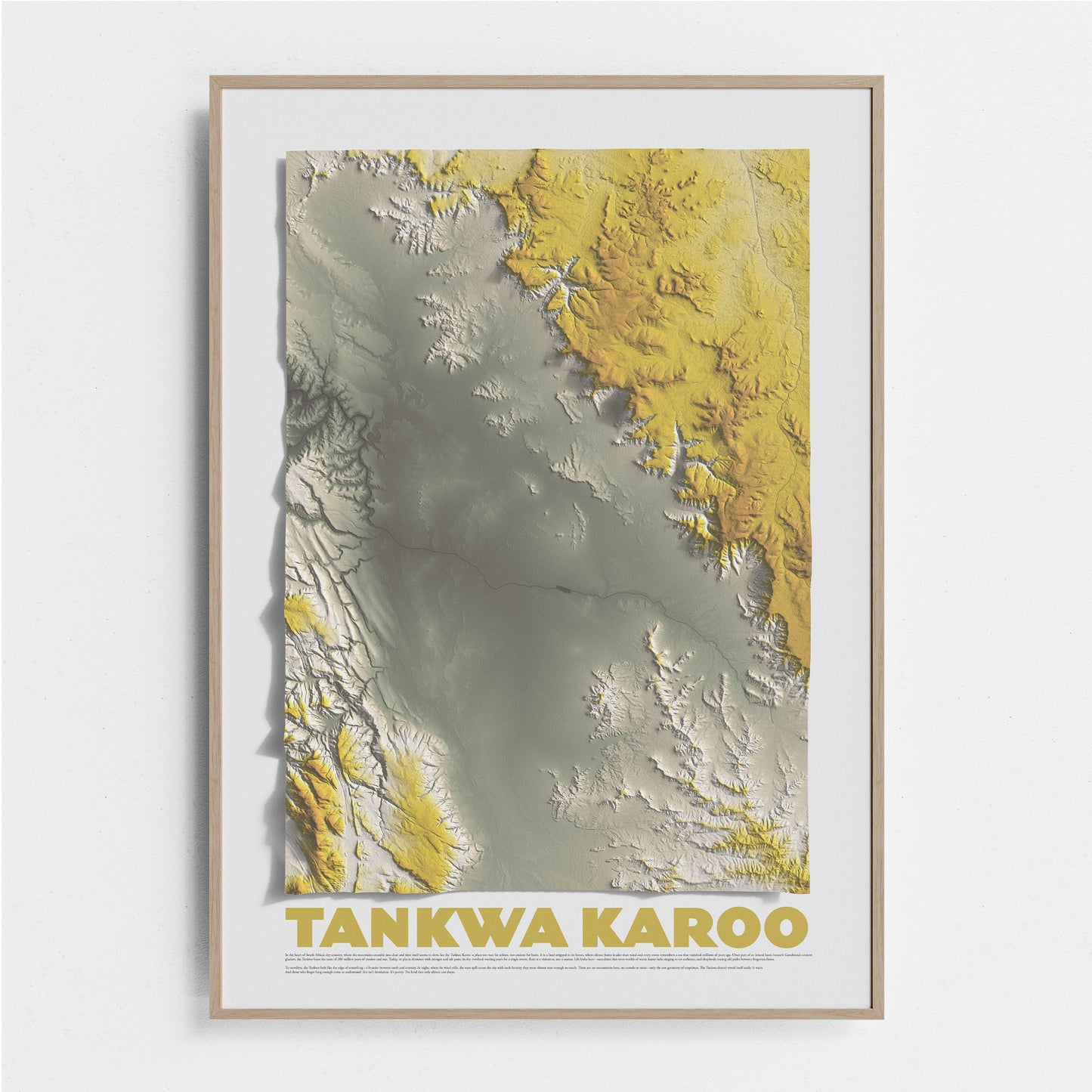 Tankwa Karoo relief map